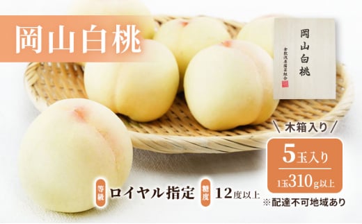  2026N s\ R  5ʁi1310ȏjFCw^xF12xȏ ؔ   RY Y t[c ʕ Mtg  [5735-1925]R˓s53000ʕEt[c