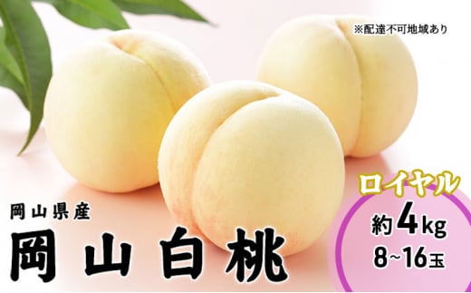  2026N s\ R  C 8`16 4.0kg RY JA܂̂  RY Y t[c ʕ Mtg  [5735-1987]R˓s48000ʕEt[cE