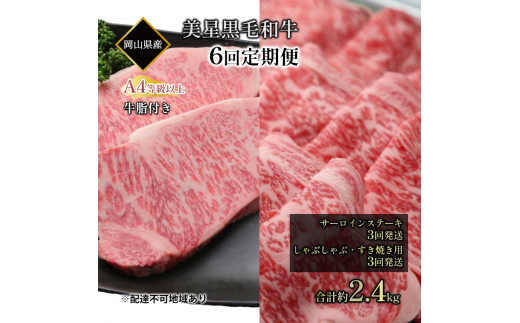 јa  6񔭑 T[CXe[L 400g ×3 Ԃ Ă p 400g ×3 v 2.4kg A4 ȏ t T[C  q R [5735-1973]R˓s1