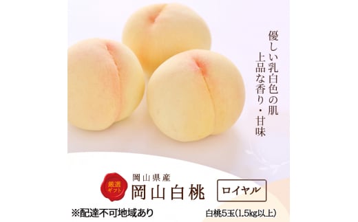  2026N s\  5 (1.5kgȏ) FC ؔ   RY Y t[c ʕ Zbg Mtg  [5735-2003]R˓s53000ʕEt[cE