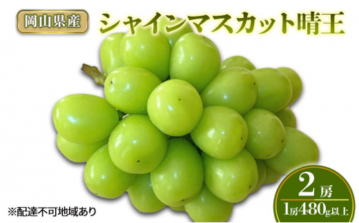 Ԃǂ 2025N s\ VC}XJbg2[(1[480gȏ) ϔ uhE  RY Y t[c ʕ Mtg[5735-2008]R˓s21000ʕEt[c}XJbgEԂǂ