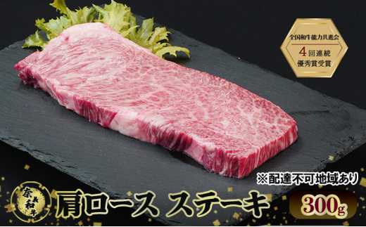 Xe[L ދ`a  [XXe[L 300g a R[5735-2029]R˓s11000