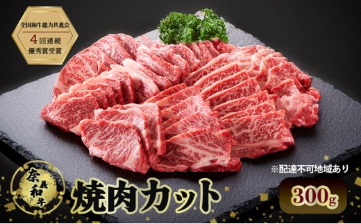 ދ`a ēJbg 300g   Ȃr[t   a ē Y R ˓s[5735-2030]R˓s11000