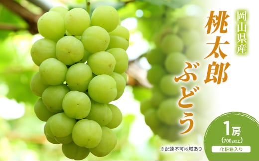 Ԃǂ 2026N s\ YԂǂ 1[(700gȏ) ϔ uhE  RY Y t[c ʕ Mtg [5735-2049]R˓s25000ʕEt[c}XJbgEԂǂ