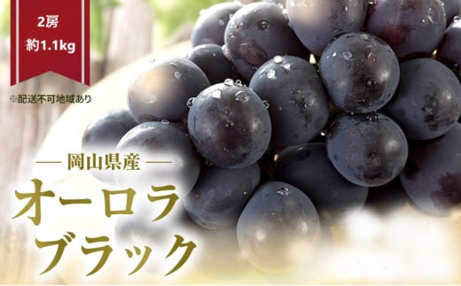 Ԃǂ 2026N s\ I[ubN 2[ (1.1kg) ϔ [5735-2071]R˓s26000ʕEt[c}XJbgEԂǂ