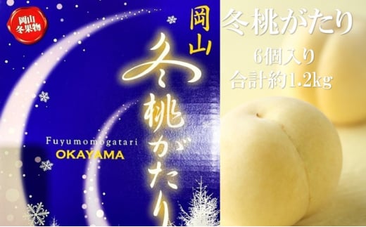  y2025N tz ~ 6 v1.2kg  RY Y t[c ʕ Mtg [5735-2091]R˓s65000ʕEt[cE