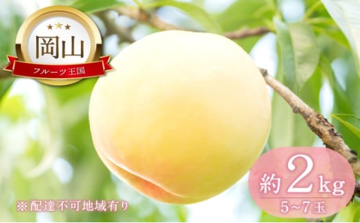  y2026N s\z ̍    2kg(5ʁ`7)   RY Y t[c ʕ Mtg [5735-2129]R˓s28000ʕEt[cE