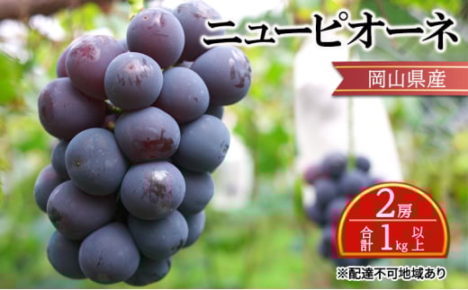 Ԃǂ y2026N s\z j[ sI[l 2[ v1kgȏ uhE  RY Y t[c ʕ Mtg [5735-2135]R˓s18000ʕEt[c}XJbgEԂǂ