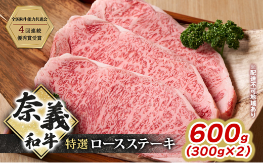 Xe[L ދ`a  [XXe[L 600g (300g×2)     a R ˓s [5735-3277]R˓s32000