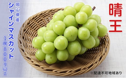 Ԃǂ s\ VC}XJbg  1[ 800gȏ  uhE   RY Y t[c ʕ Mtg[5735-3304]R˓s21000ʕEt[c}XJbgEԂǂ