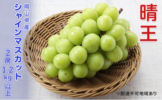Ԃǂ s\ VC}XJbg  2[ v1.2kgȏ  uhE   RY Y t[c ʕ Mtg[5735-3306]R˓s23000ʕEt[c}XJbgEԂǂ