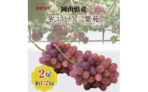 󏭕i 䑡p RY ~Ԃǂ  2[(1.2kgȏ) Ԃǂ uhE  t[c ʕ R ˓s[5735-3348]R˓s52000ʕEt[c}XJbgEԂǂ