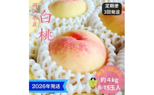 y2026Nstz  3  G C  RY    䒆 Mtg  v[g  j 䋟 ʕ  t[c [5735-3334]R˓s210000ʕE