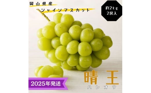 y2025Nstz VC}XJbg  Gi  2kg 2[ RY Ԃǂ  uhE Mtg  v[g  j 䋟 ʕ  t[c [5735-3342]R˓s48000