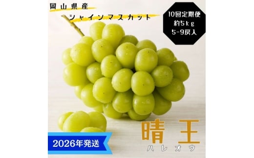 y2026Nstz VC}XJbg  10  Gi [ RY Ԃǂ Mtg  v[g  j 䋟 ʕ  t[c [5735-3344]R˓s1400000ʕEt