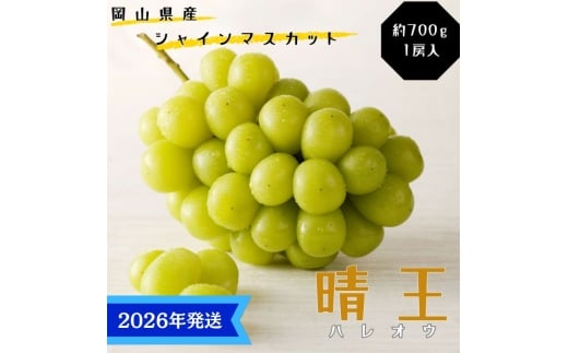 y2026Nstz VC}XJbg  I [ 700g 1[  ϔ RY Ԃǂ  uhE Mtg  v[g  j 䋟 ʕ  t[c [5735-3360]R