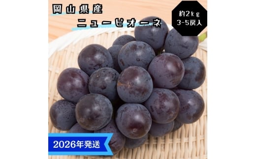 y2026Nstz Ԃǂ j[sI[l Gi 2kg(3`5[) RY Ԃǂ  uhE Mtg  v[g  j 䋟 ʕ  t[c [5735-3365]R˓s28000ʕ