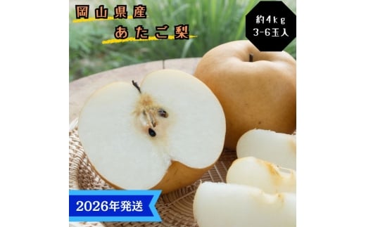 y2026Nstz    Gi 4kg(3`6) RY {傫ȗ Ȃ iV Ε Mtg  v[g  j 䋟 ʕ  t[c [5735-3366]R˓s28000