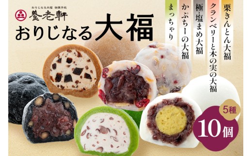 養老軒の大福5種詰合せ 10個入│季節 夏 秋 人気 旬 スイーツ 和スイーツ おやつ おかし お菓子 和菓子 日時指定可岐阜県川辺町12000菓子・スイーツ饅頭・羊羹・大福