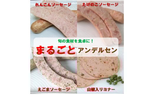 <発送月固定定期便>アンデルセンの返礼品詰め合わせ 全3回【4004746】千葉県長柄町37000肉加工肉(ハム・ソーセージ等)