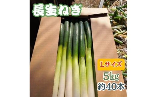 <千葉県長柄町産>『長生ねぎ』Lサイズ 5kg(約40本)【1580616】千葉県長柄町10000野菜・きのこ玉ねぎ・ねぎ