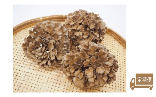 328K.܂OZbgkցl挧l47000؁Ê̂