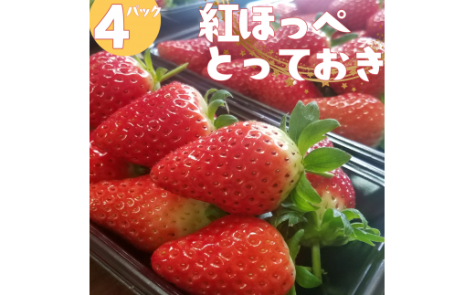 33K.nC挧l16000ʕEt[c
