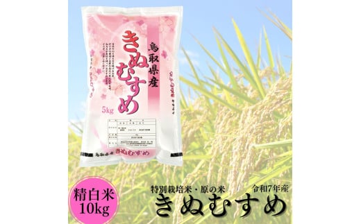 104K.特別栽培米『原の米・きぬむすめ』◇精白米10kg◇令和7年産鳥取県湯梨浜町24000米・パン白米