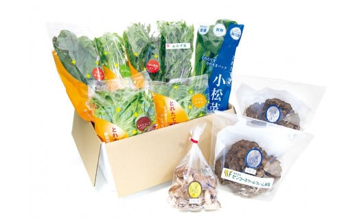 126K.ザ・プレミアム・きのこと採れたて野菜セット鳥取県湯梨浜町16000野菜・きのこきのこ