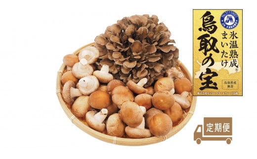 125K.氷温熟成舞茸『鳥取の宝』とどっさりしいたけの満ぷくセット〔定期便〕鳥取県湯梨浜町47000野菜・きのこきのこ