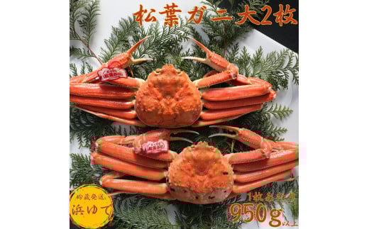 41K.■浜下商店■松葉ガニ大2枚〔浜ゆで〕鳥取県湯梨浜町164000魚介・海産物カニ