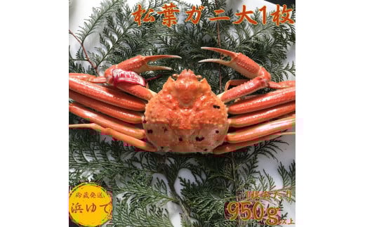 42K.lXtKj1klŁl挧l86000ECYJj