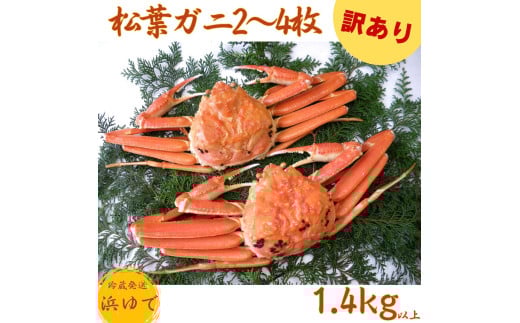 44K.■浜下商店■松葉ガニ2〜4枚〔浜ゆで〕◆訳あり◆鳥取県湯梨浜町70000魚介・海産物カニ