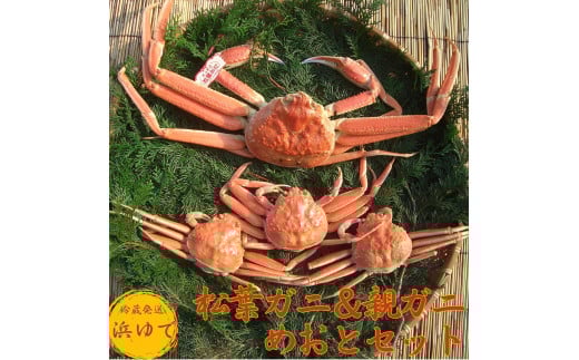 45K.鳥取県産松葉ガニ&親ガニ◇めおと◇セット〔浜ゆで〕鳥取県湯梨浜町59000魚介・海産物カニ