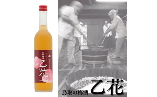 109K.鳥取の梅酒『乙花』鳥取県湯梨浜町7000酒・アルコールその他 酒・アルコール
