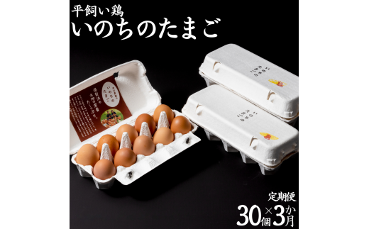 137K.平飼い鶏の『いのちのたまご』30個×3ヶ月〔定期便〕鳥取県湯梨浜町32000卵・乳製品卵(鶏、烏骨鶏等)