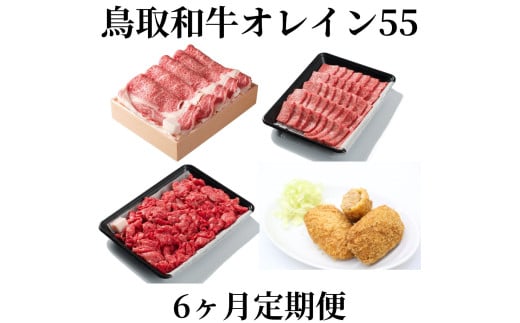 62K.◆鳥取和牛オレイン55◆定期便〔6回〕鳥取県湯梨浜町300000肉牛肉