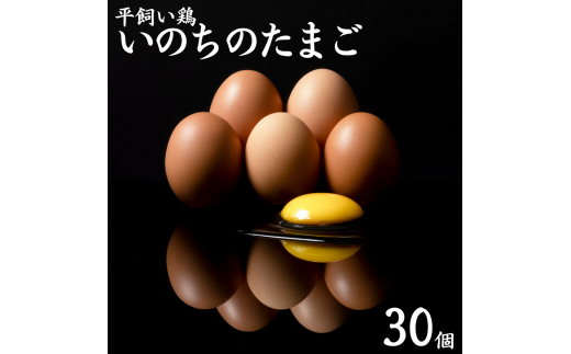 135K.平飼い鶏の『いのちのたまご』30個鳥取県湯梨浜町11000卵・乳製品卵(鶏、烏骨鶏等)