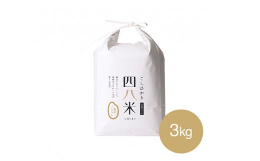 No.287 ylāzyfv~A@3kg ^   Ђ RVqJ  G} _ L YiL{s20000āEp