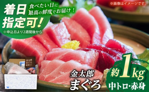 yőzyʌIzyZŎ܁`IzY }O Ⓚ ubN g Ԑg 1kgyہz [RAC006]  Xs[h ŒZ茧Vܓ36000ECYN