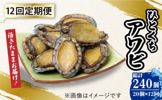 yS12ցzy܂܂͂Iz ܓY {B ЂƂ Ar  I 20 hg Xe[L  yL݊Ёz [RAE008]茧Vܓ535000ECYL