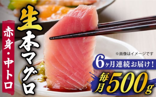 【全6回定期便】【ながさき水産業大賞受賞の新鮮なマグロを冷蔵でお届け!!】五島列島産 養殖 生本かみマグロ 赤身 中トロ 計約500g マグロ まぐろ 鮪 刺身 ブロック 【カミティバリュー