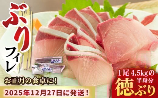 yʌzyNzI12/28E12/29ǂ炩ɂ͂zyԎwK{z u tB Ԃ蔼gdāi4.5kgx̔gjyہz [RAC021] Ԃ u  Ԃ肵 Ԃ VN