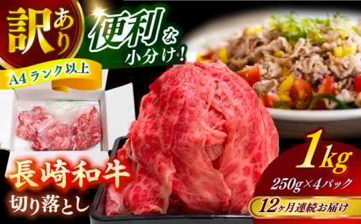 yS12ցz@y󂠂z aioAA[X̂ꂩj1kg ؂藎Ƃ 250g×4P  yЎz [RCE013]茧Vܓ231000