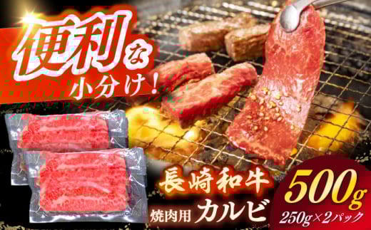 y{̘azaiA4NȏjJrēp500g yЎz [RCE017]茧Vܓ17000