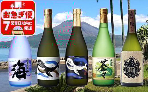 C3-25101/大海酒造 720ml 5本セット鹿児島県垂水市34000酒・アルコール焼酎