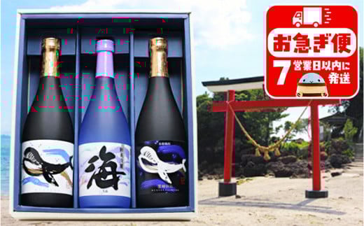 B2-25176/大海酒造  720ml 3本セット鹿児島県垂水市23000酒・アルコール焼酎