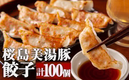 A1-30110/桜島美湯豚ぎょうざ20個入り(240g)×5鹿児島県垂水市15000肉その他 肉