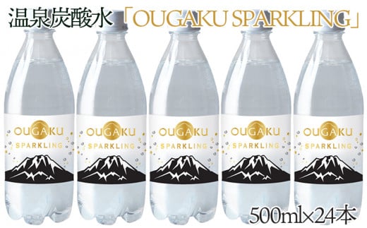 A1-1507^Y_@500ml×24{s16000EE~lEH[^[