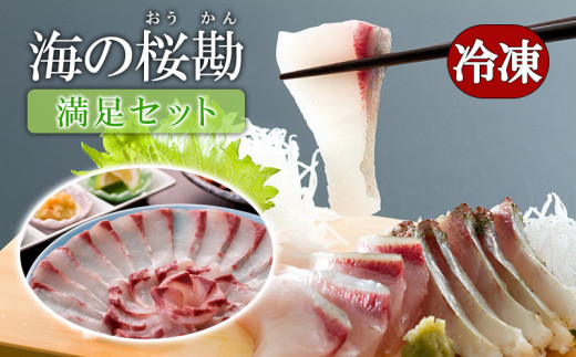 B2-0117/『海の桜勘』満足セット鹿児島県垂水市27000魚介・海産物貝類